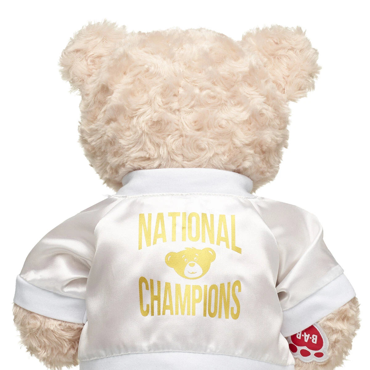 Varsity Spirit National Champions Jacket | Build-A-Bear® - US 6509