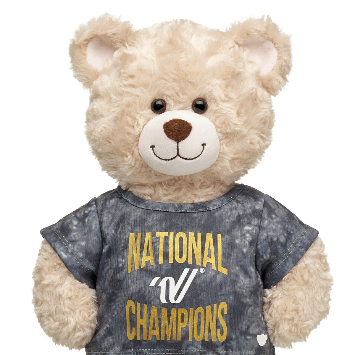 Varsity Spirit National Champions T-Shirt | Build-A-Bear® - US 5473