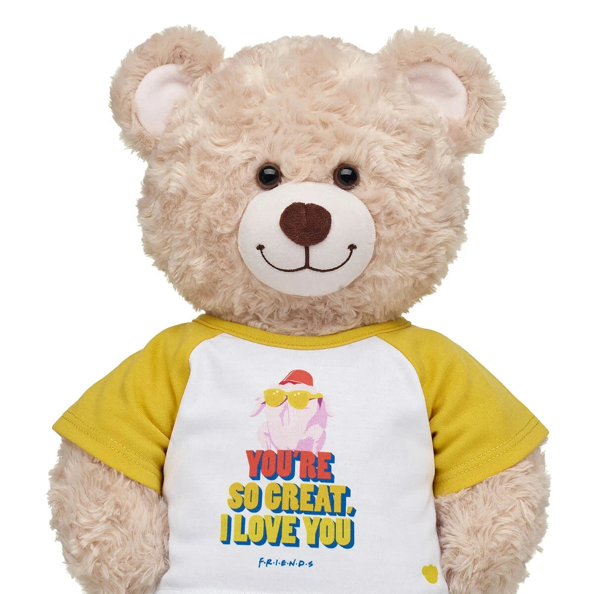 FRIENDS TV Show Turkey T-Shirt for Stuffed Animals | Build-A-Bear® - US 1278