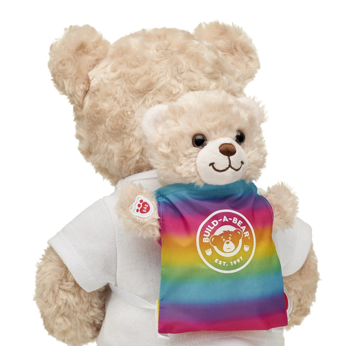 Mini Beans Rainbow Toy Bear Carrier | Build-A-Bear® - US 7512