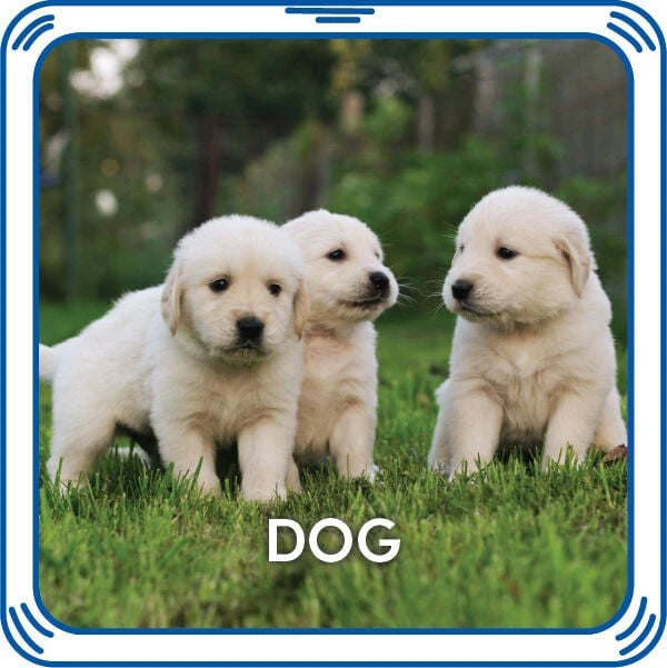 Puppy 5-in-1 Sound for Stuffed Animals | Build-A-Bear® - US 7059