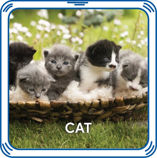 Kitty 5-in-1 Sound for Stuffed Animals | Build-A-Bear® - US 6290