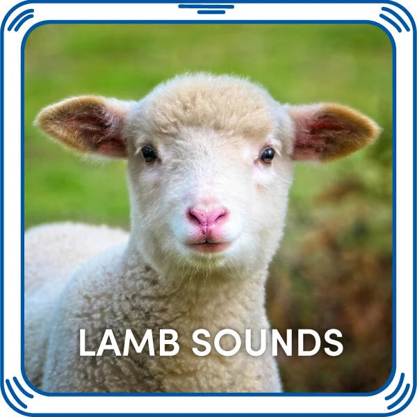 Lamb Sounds for Stuffed Animals | Build-A-Bear® - US 6281