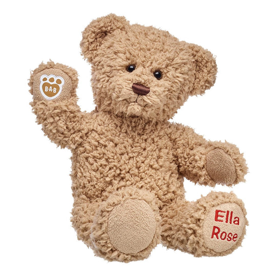 Embroidered Teddy Bear | Online Exclusive Gift | Shop at Build-A-Bear® - US 9980