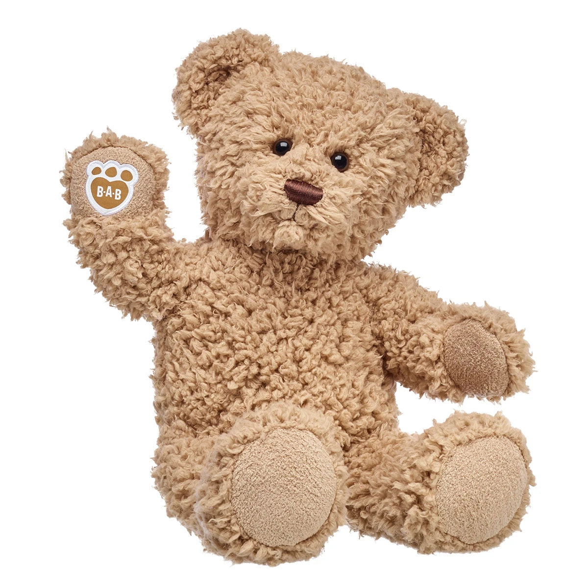 Timeless Teddy Bear | Build-A-Bear® - US 5551