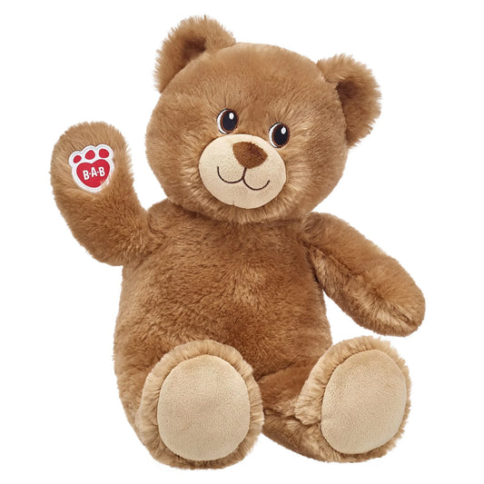 Lil' Cub® Brownie Teddy Bear "Get Well Soon" Gift Set | Build-A-Bear® - US 2691