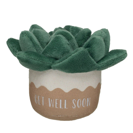 HB GET WELL PLANT - US 1766