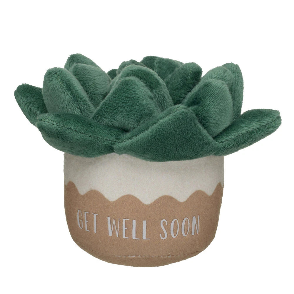 HB GET WELL PLANT - US 6822
