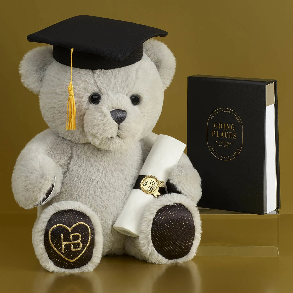 Going Places Graduation Gift Box | Build-A-Bear® - US 7391