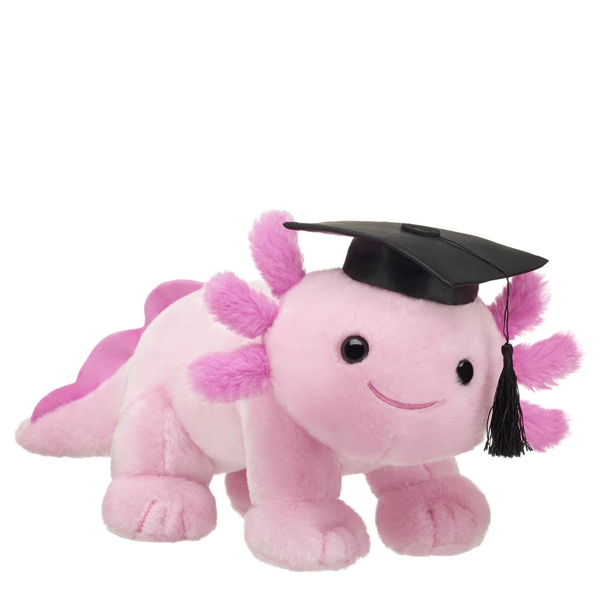 Pink Axolotl Stuffed Animal Graduation Gift Set - US 2877