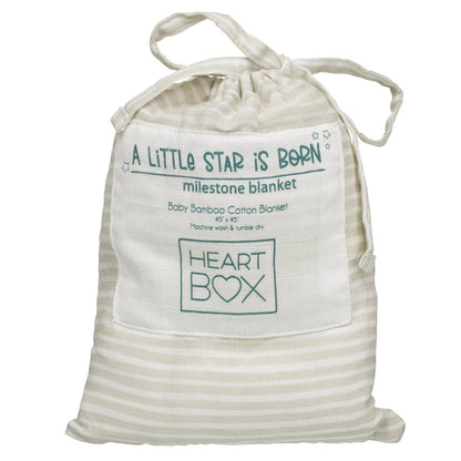 Monthly Milestone Baby Blanket | Build-A-Bear® - US 2628