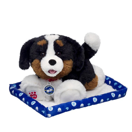 Promise Pets Bernese Mountain Dog Stuffed Animal w/ Blue Bed | Build-A-Bear - US 5121