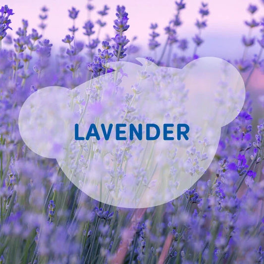 SCENTiments™ Lavender Scent for Stuffed Animals | Build-A-Bear® - US 1037