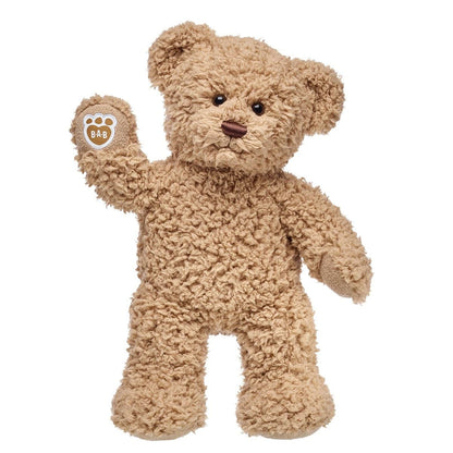 Timeless Teddy Bear | Build-A-Bear® - US 5551