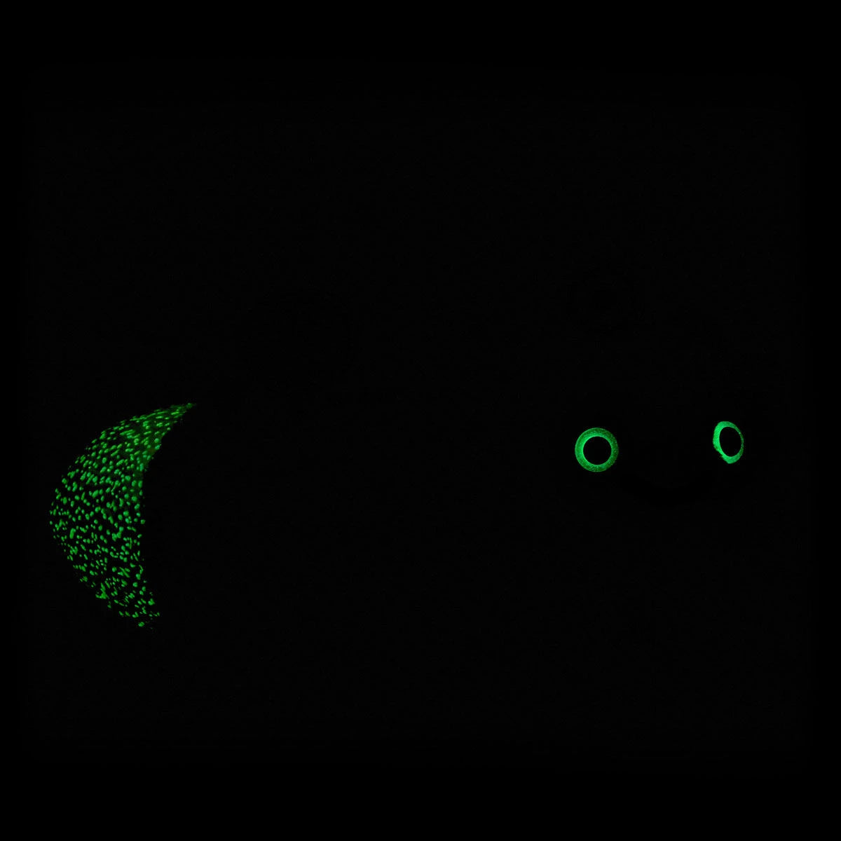 Glow-in-the-Dark Lightning Bug Stuffed Animal | BAB - US 9054