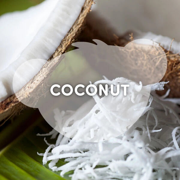 Coconut Lime Koala Slushie Plushie Scented Gift Set | BAB - US 8199