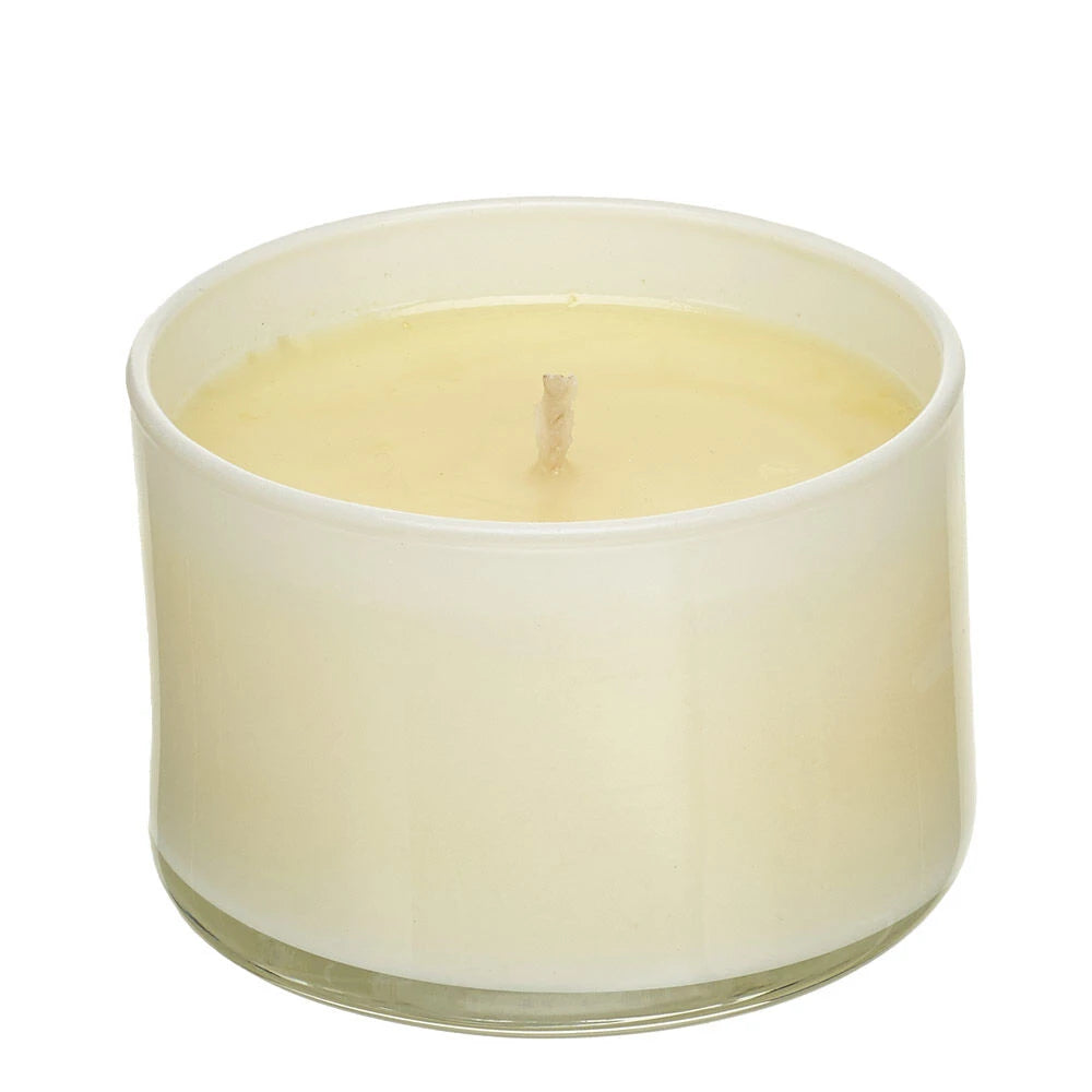 Trapp Signature Home Collection—No. 25 Lavender de Provence Scented Candle | Build-A-Bear® - US 9254