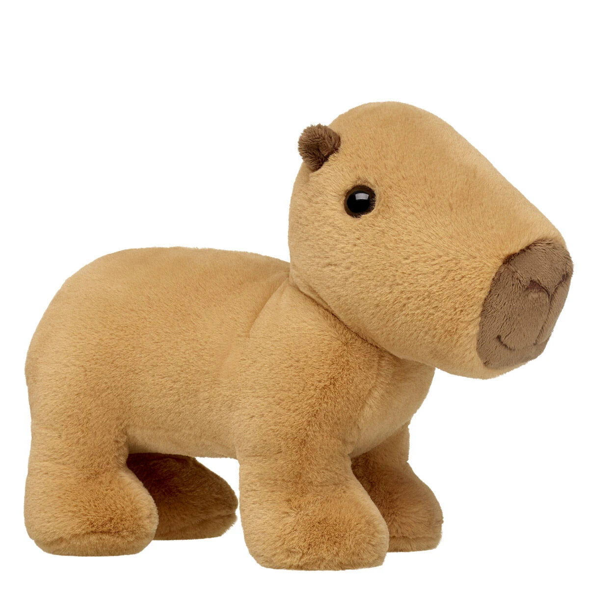 Capybara Stuffed Animal | Build-A-Bear® - US 8622
