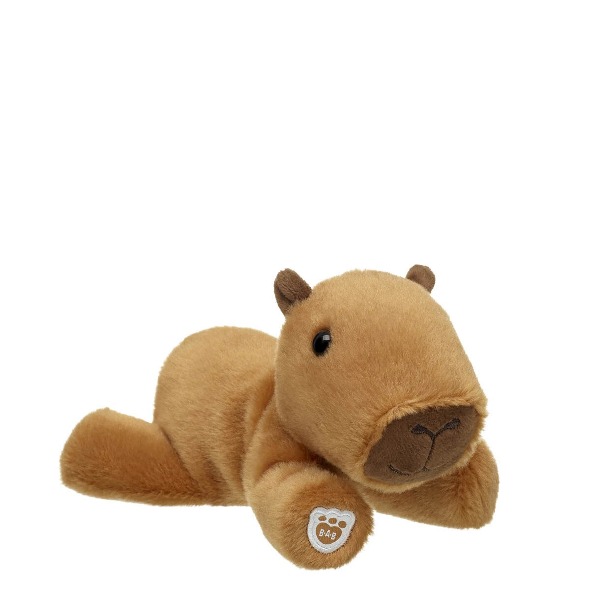 Capybara Stuffed Animal &amp; Mini Beans Gift Set - US 5451