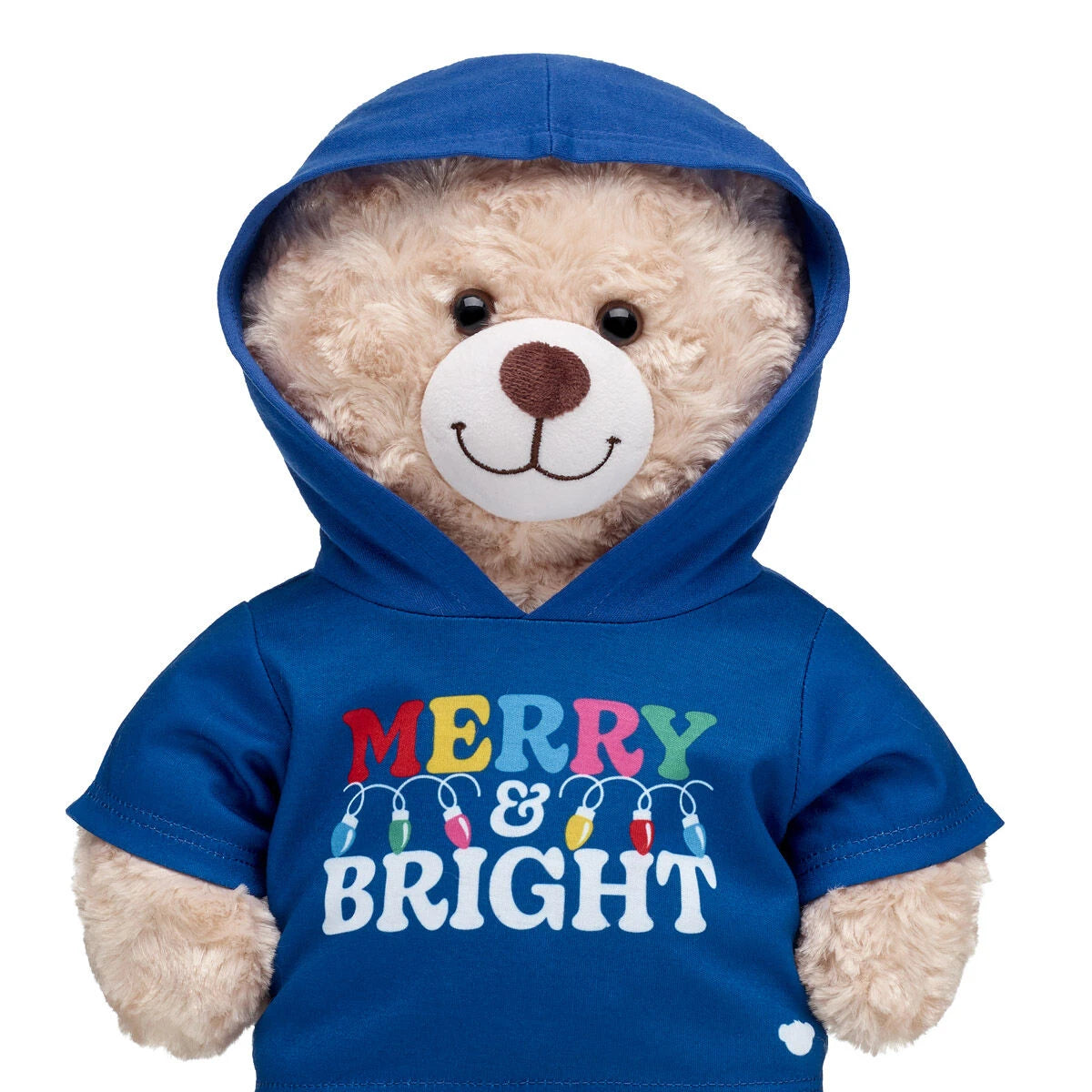 Merry &amp; Bright Hoodie - US 2698