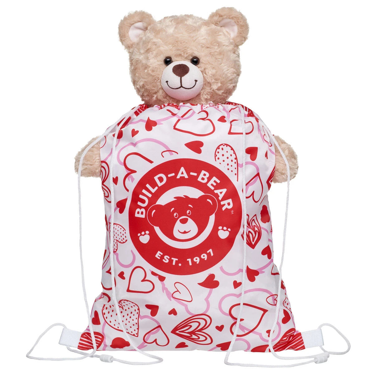 Valentine's Day Toy Bear Carrier | Build-A-Bear - US 2374