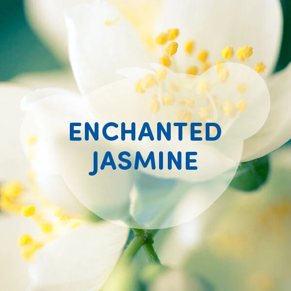 Enchanted Jasmine Scent - US 5957