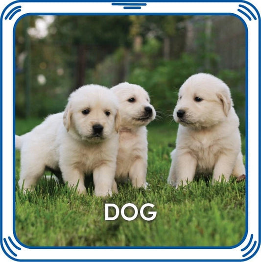 Puppy 5-in-1 Sound for Stuffed Animals | Build-A-Bear® - US 3656
