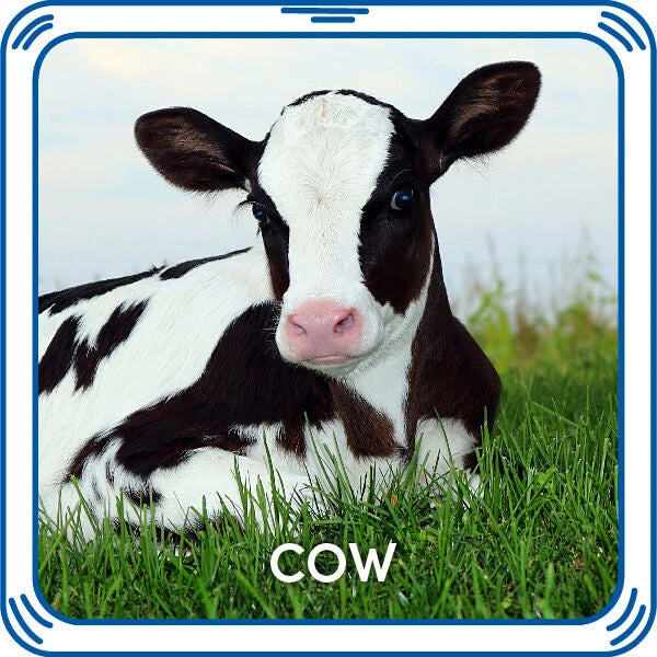 Cow Sound for Stuffed Animals | Build-A-Bear® - US 7137