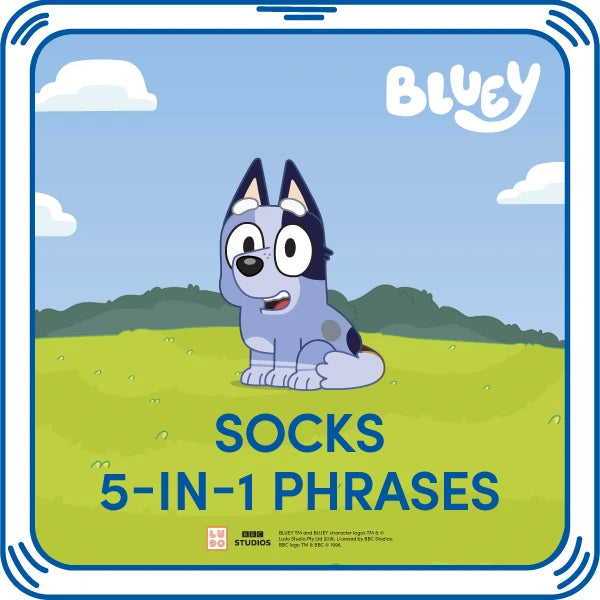 Socks 5-in-1 Phrases | Build-A-Bear - US 7018